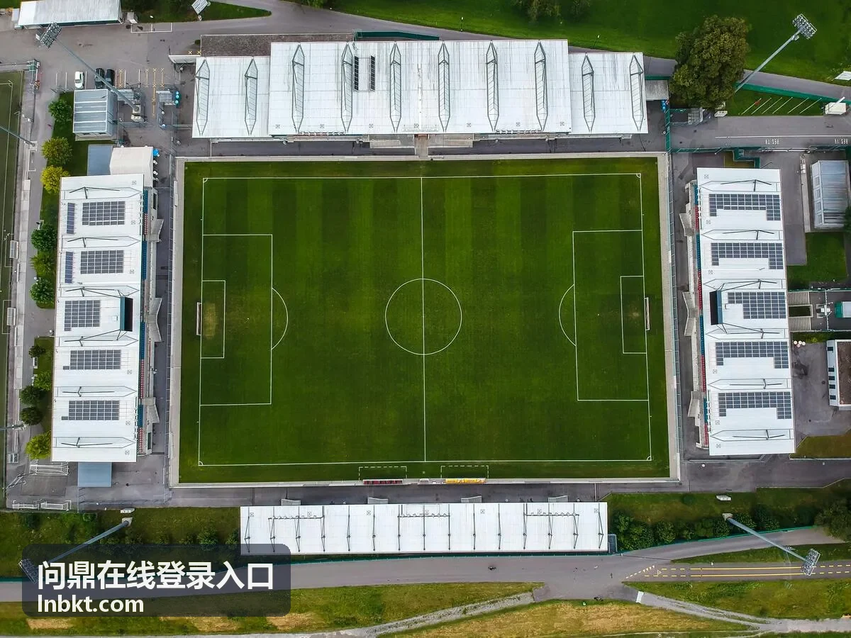 问鼎在线登录入口首次登录步骤说明配图